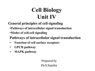 Comprehensive Overview of Cell Signaling Pathways and Mechanisms in ...