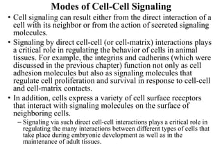 Direct Cell Comprehensive Overview of Cell Signaling Pathways and Mechanisms in ...