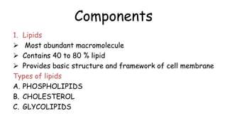 Components
1. Lipids
 Most abundant macromolecule
 Contains 40 to 80 % lipid
 Provides basic structure and framework of cell membrane
Types of lipids
A. PHOSPHOLIPIDS
B. CHOLESTEROL
C. GLYCOLIPIDS
 