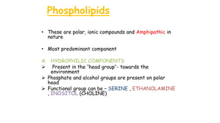 Phospholipids
• These are polar, ionic compounds and Amphipathic in
nature
• Most predominant component
A. HYDROPHILIC COMPONENTS
 Present in the ‘’head group’’- towards the
environment
 Phosphate and alcohol groups are present on polar
head
 Functional group can be – SERINE , ETHANOLAMINE
, INOSITOL (CHOLINE)
 