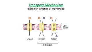 Transport Mechanism
(Based on direction of movement)
 