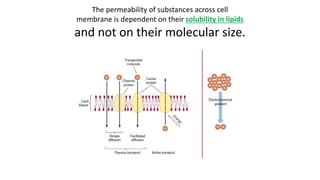 The permeability of substances across cell
membrane is dependent on their solubility in lipids
and not on their molecular size.
 