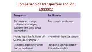 Comparison of Transporters and Ion
Channels
 
