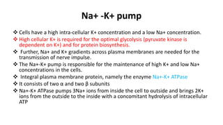 Na+ -K+ pump
 Cells have a high intra-cellular K+ concentration and a low Na+ concentration.
 High cellular K+ is required for the optimal glycolysis (pyruvate kinase is
dependent on K+) and for protein biosynthesis.
 Further, Na+ and K+ gradients across plasma membranes are needed for the
transmission of nerve impulse.
 The Na+-K+ pump is responsible for the maintenance of high K+ and low Na+
concentrations in the cells.
 Integral plasma membrane protein, namely the enzyme Na+-K+ ATPase
 It consists of two α and two β subunits
 Na+-K+ ATPase pumps 3Na+ ions from inside the cell to outside and brings 2K+
ions from the outside to the inside with a concomitant hydrolysis of intracellular
ATP
 