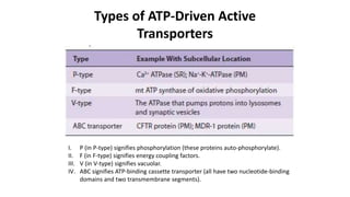 Types of ATP-Driven Active
Transporters
I. P (in P-type) signifies phosphorylation (these proteins auto-phosphorylate).
II. F (in F-type) signifies energy coupling factors.
III. V (in V-type) signifies vacuolar.
IV. ABC signifies ATP-binding cassette transporter (all have two nucleotide-binding
domains and two transmembrane segments).
 