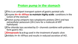 Proton pump in the stomach
This is an antiport transport system of gastric parietal cells
Enzyme H+–K+ ATPase to maintain highly acidic conditions in the
lumen of the stomach
Proton pump antiports two cytoplasmic protons (2H+) and two
extracellular potassium (2K+) ions for a molecule of ATP
hydrolysed.
The chloride ions secreted by Cl– channels combine with protons to
form gastric HCl.
Omeprazole is a drug used in the treatment of peptic ulcer.
Inhibits H+-K+ ATPase and results in reduced secretion of HCl.
 