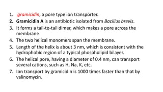 1. gramicidin, a pore type ion transporter.
2. Gramicidin A is an antibiotic isolated from Bacillus brevis.
3. It forms a tail-to-tail dimer, which makes a pore across the
membrane
4. The two helical monomers span the membrane.
5. Length of the helix is about 3 nm, which is consistent with the
hydrophobic region of a typical phospholipid bilayer.
6. The helical pore, having a diameter of 0.4 nm, can transport
several cations, such as H, Na, K, etc.
7. Ion transport by gramicidin is 1000 times faster than that by
valinomycin.
 