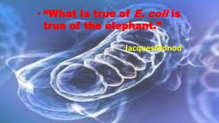 • “What Is true of E. coli is
true of the elephant.”
JacquesMonod
 