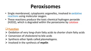 Peroxisomes
• Single membraned, cytoplasmic organelles, involved in oxidative
reactions using molecular oxygen.
• These reactions produce the toxic chemical hydrogen peroxide
(H2O2), which is degraded within the peroxisome by catalase
 Function
 Oxidation of very long-chain fatty acids to shorter chain fatty acids
 Conversion of cholesterol to bile acids
 Synthesis ether lipids called plasmalogens.
 Involved in the synthesis of myelin
 