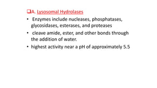 A. Lysosomal Hydrolases
• Enzymes include nucleases, phosphatases,
glycosidases, esterases, and proteases
• cleave amide, ester, and other bonds through
the addition of water.
• highest activity near a pH of approximately 5.5
 