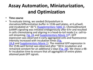 Assay Automation, Miniaturization,
and Optimization
• Time course
• To evaluate timing, we seeded Dictyostelium in
starvation/differentiation buffer in 1536-well plates, at 6 μl/well,
and incubated at ~20 °C (Supplementary Table 1). Chemoattractant
(cAMP) signaling was initiated endogenously after 8 hr and resulted
in cells chemotaxing and aligning in a head-to-tail mode (i.e. cell-to-
cell streaming; Fig. 2A and Supplementary Movie 1)34. GFP
expression was observed in early aggregated cells and fluorescence
intensity increased with incubation times (Fig.
2A,B and Supplementary Movie 1). The maximal GFP expression in
the 1536-well format was observed after ~30 hr incubation and
remained constant for an additional 2 days (Fig. 2B). We chose a 48-
hr incubation time to ensure that all aggregates of entire plates
attained peak GFP signals.
 