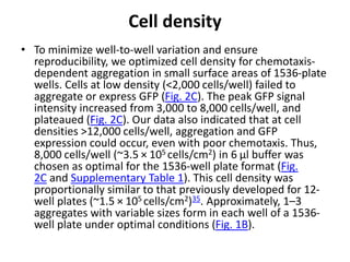 Cell density
• To minimize well-to-well variation and ensure
reproducibility, we optimized cell density for chemotaxis-
dependent aggregation in small surface areas of 1536-plate
wells. Cells at low density (<2,000 cells/well) failed to
aggregate or express GFP (Fig. 2C). The peak GFP signal
intensity increased from 3,000 to 8,000 cells/well, and
plateaued (Fig. 2C). Our data also indicated that at cell
densities >12,000 cells/well, aggregation and GFP
expression could occur, even with poor chemotaxis. Thus,
8,000 cells/well (~3.5 × 105 cells/cm2) in 6 μl buffer was
chosen as optimal for the 1536-well plate format (Fig.
2C and Supplementary Table 1). This cell density was
proportionally similar to that previously developed for 12-
well plates (~1.5 × 105 cells/cm2)35. Approximately, 1–3
aggregates with variable sizes form in each well of a 1536-
well plate under optimal conditions (Fig. 1B).
 