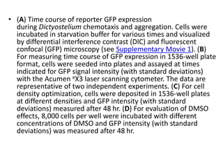 • (A) Time course of reporter GFP expression
during Dictyostelium chemotaxis and aggregation. Cells were
incubated in starvation buffer for various times and visualized
by differential interference contrast (DIC) and fluorescent
confocal (GFP) microscopy (see Supplementary Movie 1). (B)
For measuring time course of GFP expression in 1536-well plate
format, cells were seeded into plates and assayed at times
indicated for GFP signal intensity (with standard deviations)
with the Acumen eX3 laser scanning cytometer. The data are
representative of two independent experiments. (C) For cell
density optimization, cells were deposited in 1536-well plates
at different densities and GFP intensity (with standard
deviations) measured after 48 hr. (D) For evaluation of DMSO
effects, 8,000 cells per well were incubated with different
concentrations of DMSO and GFP intensity (with standard
deviations) was measured after 48 hr.
 