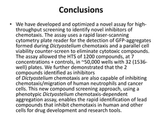 Conclusions
• We have developed and optimized a novel assay for high-
throughput screening to identify novel inhibitors of
chemotaxis. The assay uses a rapid laser-scanning
cytometry plate reader for the detection of GFP-aggregates
formed during Dictyostelium chemotaxis and a parallel cell
viability counter-screen to eliminate cytotoxic compounds.
The assay allowed the HTS of 1200 compounds, at 7
concentrations + controls, in ~50,000 wells with 32 (1536-
well) plates. We further demonstrated that the 2
compounds identified as inhibitors
of Dictyostelium chemotaxis are also capable of inhibiting
chemotaxis/migration of human neutrophils and cancer
cells. This new compound screening approach, using a
phenotypic Dictyostelium chemotaxis-dependent
aggregation assay, enables the rapid identification of lead
compounds that inhibit chemotaxis in human and other
cells for drug development and research tools.
 