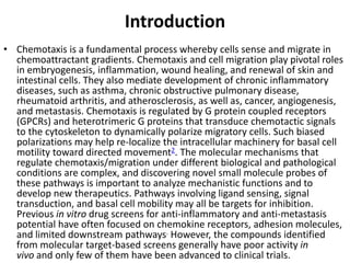 Introduction
• Chemotaxis is a fundamental process whereby cells sense and migrate in
chemoattractant gradients. Chemotaxis and cell migration play pivotal roles
in embryogenesis, inflammation, wound healing, and renewal of skin and
intestinal cells. They also mediate development of chronic inflammatory
diseases, such as asthma, chronic obstructive pulmonary disease,
rheumatoid arthritis, and atherosclerosis, as well as, cancer, angiogenesis,
and metastasis. Chemotaxis is regulated by G protein coupled receptors
(GPCRs) and heterotrimeric G proteins that transduce chemotactic signals
to the cytoskeleton to dynamically polarize migratory cells. Such biased
polarizations may help re-localize the intracellular machinery for basal cell
motility toward directed movement2. The molecular mechanisms that
regulate chemotaxis/migration under different biological and pathological
conditions are complex, and discovering novel small molecule probes of
these pathways is important to analyze mechanistic functions and to
develop new therapeutics. Pathways involving ligand sensing, signal
transduction, and basal cell mobility may all be targets for inhibition.
Previous in vitro drug screens for anti-inflammatory and anti-metastasis
potential have often focused on chemokine receptors, adhesion molecules,
and limited downstream pathways. However, the compounds identified
from molecular target-based screens generally have poor activity in
vivo and only few of them have been advanced to clinical trials.
 