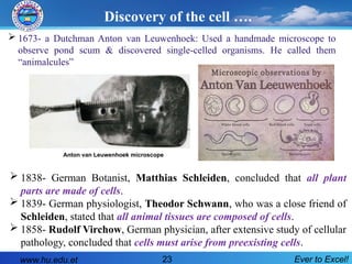 Ever to Excel!
23
Discovery of the cell ….
 1673- a Dutchman Anton van Leuwenhoek: Used a handmade microscope to
observe pond scum & discovered single-celled organisms. He called them
“animalcules”
www.hu.edu.et
Anton van Leuwenhoek microscope
 1838- German Botanist, Matthias Schleiden, concluded that all plant
parts are made of cells.
 1839- German physiologist, Theodor Schwann, who was a close friend of
Schleiden, stated that all animal tissues are composed of cells.
 1858- Rudolf Virchow, German physician, after extensive study of cellular
pathology, concluded that cells must arise from preexisting cells.
 