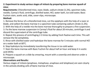 2. Experiment to study various stages of mitosis by preparing bone marrow squash of
mice:
Requirements: Chloroformed mice, razor, blade, sodium citrate (1.2%), specimen tube,
needle, Camoy’s fluid, centrifuge, distilled water, HCl, water bath, ice-cold water, Basic
Fuchsin stain, acetic acid, slide, cover-slips, microscope.
Method:
1. Remove the femur of a chloroformed mice, cut the epiphysis with the help of a razor or
blade, and collect the bone marrow in a specimen tube containing sodium citrate (1.2%).
2. With the help of a neelde mix the bone marrow thoroughly to prepare a fine suspension.
3. Fix the bone marrow suspension in Carnoy’s fluid for about 20 minutes, centrifuge it and
discard the supernatant of the centrifuge tube.
4. Repeat this process of centrifuging 2-3 times by adding fresh fixative each time. This will
remove the fat completely.
5. Rinse with distilled water and hydrolyze the bone marrow for 5 minutes with normal HCl
on a water bath at 60°C.
6. Stop hydrolysis by immediately transferring the tissue in ice-cold water.
7. Stain the bone marrow with Basic Fuchsin for about half an hour and keep it in acetic
acid (45%).
8. Prepare a squash on a slide by smearing, mount with a coverslip and observe under a
microscope.
Observations and Results:
Various stages of mitosis (prophase, metaphase, anaphase and telophase) are seen clearly
in the actively dividing cells of bone marrow of mice.
 
