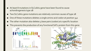 ■ At least 8 mutations in SLC26A2 gene have been found to cause
achondrogenesis type 1B
■ Two SLC26A2 gene mutations are relatively common causes of type 1B
■ One of these mutations deletes a single amino acid codon at position 341
■ The other mutation also deletes 3 base pairs (codon) at a specific location
■ This prevents the production of any functional SAT1 protein from this gene
 