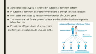 ■ AchondrogenesisType 2 is inherited in autosomal dominant pattern
■ In autosomal dominant disorders only one gene is enough to cause a disease
■ Most cases are caused by new (de novo) mutation of COL2A1 gene
■ This means the risk for the parents to have another child with achondrogenesis
is less than 1%
■ Prevalence ofType 1A and 1B are very rare
and forType 2 it is 1/40,000 to 1/60,000 births
 