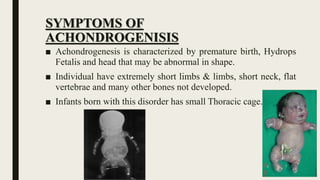 SYMPTOMS OF
ACHONDROGENISIS
■ Achondrogenesis is characterized by premature birth, Hydrops
Fetalis and head that may be abnormal in shape.
■ Individual have extremely short limbs & limbs, short neck, flat
vertebrae and many other bones not developed.
■ Infants born with this disorder has small Thoracic cage.
 
