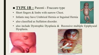 ■ TYPE 1B – Parenti - Fraccaro type
• Short fingers & limbs with narrow Chest.
• Infants may have Umbrical Hernia or Inguinal Hernia
• also classified as Sulfation disorder.
• also include Dystrophic Dysplasia & Recessive multiple Epiphyseal
Dysplasia.
 