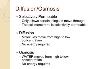 Diffusion/Osmosis
 Selectively Permeable
◦ Only allows certain things to move through
◦ The cell membrane is selectively permeable
 Diffusion
◦ Molecules move from high to low
concentration
◦ No energy required
 Osmosis
◦ WATER moves from high to low
concentration
◦ No energy required
 