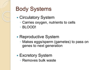 Body Systems
 Circulatory System
◦ Carries oxygen, nutrients to cells
◦ BLOOD!
 Reproductive System
◦ Makes eggs/sperm (gametes) to pass on
genes to next generation
 Excretory System
◦ Removes bulk waste
 