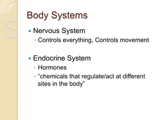 Body Systems
 Nervous System
◦ Controls everything, Controls movement
 Endocrine System
◦ Hormones
◦ “chemicals that regulate/act at different
sites in the body”
 