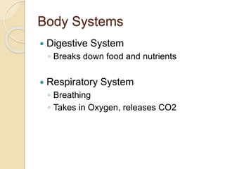 Body Systems
 Digestive System
◦ Breaks down food and nutrients
 Respiratory System
◦ Breathing
◦ Takes in Oxygen, releases CO2
 