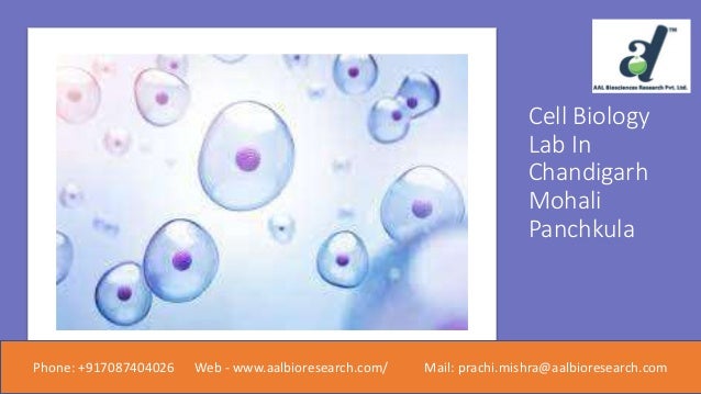 Cell Biology
Lab In
Chandigarh
Mohali
Panchkula
Phone: +917087404026 Web - www.aalbioresearch.com/ Mail: prachi.mishra@aalbioresearch.com
 