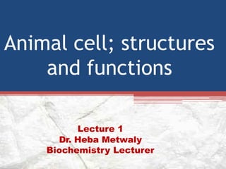 Animal cell; structures
and functions
Lecture 1
Dr. Heba Metwaly
Biochemistry Lecturer
 