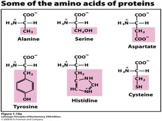 cell biology lecture 1.pptx