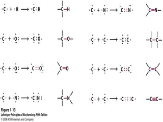 cell biology lecture 1.pptx