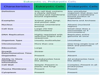 cell biology lecture 1.pptx