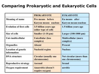 cell biology lecture 1.pptx