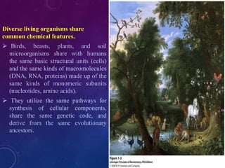 Diverse living organisms share
common chemical features.
 Birds, beasts, plants, and soil
microorganisms share with humans
the same basic structural units (cells)
and the same kinds of macromolecules
(DNA, RNA, proteins) made up of the
same kinds of monomeric subunits
(nucleotides, amino acids).
 They utilize the same pathways for
synthesis of cellular components,
share the same genetic code, and
derive from the same evolutionary
ancestors.
 