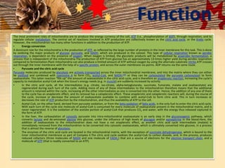 Function
The most prominent roles of mitochondria are to produce the energy currency of the cell, ATP (i.e., phosphorylation of ADP), through respiration, and to
regulate cellular metabolism. The central set of reactions involved in ATP production are collectively known as the citric acid cycle, or the Krebs cycle.
However, the mitochondrion has many other functions in addition to the production of ATP.
• Energy conversion
A dominant role for the mitochondria is the production of ATP, as reflected by the large number of proteins in the inner membrane for this task. This is done
by oxidizing the major products of glucose: pyruvate, and NADH, which are produced in the cytosol. This type of cellular respiration known as aerobic
respiration, is dependent on the presence of oxygen. When oxygen is limited, the glycolytic products will be metabolized by anaerobic fermentation, a
process that is independent of the mitochondria.The production of ATP from glucose has an approximately 13-times higher yield during aerobic respiration
compared to fermentation.Plant mitochondria can also produce a limited amount of ATP without oxygen by using the alternate substrate nitrite.ATP crosses
out through the inner membrane with the help of a specific protein, and across the outer membrane via porins. ADP returns via the same route.
• Pyruvate and the citric acid cycle
Pyruvate molecules produced by glycolysis are actively transported across the inner mitochondrial membrane, and into the matrix where they can either
be oxidized and combined with coenzyme A to form CO2, acetyl-CoA, and NADH,[14] or they can be carboxylated (by pyruvate carboxylase) to form
oxaloacetate. This latter reaction ”fills up” the amount of oxaloacetate in the citric acid cycle, and is therefore an anaplerotic reaction, increasing the cycle’s
capacity to metabolize acetyl-CoA when the tissue's energy needs (e.g. in muscle) are suddenly increased by activity.
• In the citric acid cycle, all the intermediates (e.g. citrate, iso-citrate, alpha-ketoglutarate, succinate, fumarate, malate and oxaloacetate) are
regenerated during each turn of the cycle. Adding more of any of these intermediates to the mitochondrion therefore means that the additional
amount is retained within the cycle, increasing all the other intermediates as one is converted into the other. Hence, the addition of any one of them
to the cycle has an anaplerotic effect, and its removal has a cataplerotic effect. These anaplerotic and cataplerotic reactions will, during the course of
the cycle, increase or decrease the amount of oxaloacetate available to combine with acetyl-CoA to form citric acid. This in turn increases or
decreases the rate of ATP production by the mitochondrion, and thus the availability of ATP to the cell.
• Acetyl-CoA, on the other hand, derived from pyruvate oxidation, or from the beta-oxidation of fatty acids, is the only fuel to enter the citric acid cycle.
With each turn of the cycle one molecule of acetyl-CoA is consumed for every molecule of oxaloacetate present in the mitochondrial matrix, and is
never regenerated. It is the oxidation of the acetate portion of acetyl-CoA that produces CO2 and water, with the energy thus released captured in
the form of ATP.
• In the liver, the carboxylation of cytosolic pyruvate into intra-mitochondrial oxaloacetate is an early step in the gluconeogenic pathway, which
converts lactate and de-aminated alanine into glucose, under the influence of high levels of glucagon and/or epinephrine in the blood.Here, the
addition of oxaloacetate to the mitochondrion does not have a net anaplerotic effect, as another citric acid cycle intermediate (malate) is
immediately removed from the mitochondrion to be converted into cytosolic oxaloacetate, which is ultimately converted into glucose, in a process
that is almost the reverse of glycolysis.
• The enzymes of the citric acid cycle are located in the mitochondrial matrix, with the exception of succinate dehydrogenase, which is bound to the
inner mitochondrial membrane as part of Complex II.The citric acid cycle oxidizes the acetyl-CoA to carbon dioxide, and, in the process, produces
reduced cofactors (three molecules of NADH and one molecule of FADH2) that are a source of electrons for the electron transport chain, and a
molecule of GTP (that is readily converted to an ATP).
 