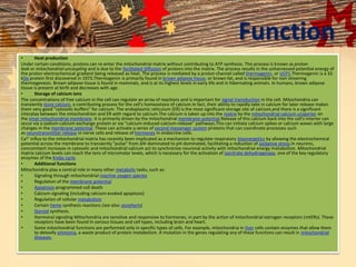 Function
• Heat production
Under certain conditions, protons can re-enter the mitochondrial matrix without contributing to ATP synthesis. This process is known as proton
leak or mitochondrial uncoupling and is due to the facilitated diffusion of protons into the matrix. The process results in the unharnessed potential energy of
the proton electrochemical gradient being released as heat. The process is mediated by a proton channel called thermogenin, or UCP1.Thermogenin is a 33
kDa protein first discovered in 1973.Thermogenin is primarily found in brown adipose tissue, or brown fat, and is responsible for non-shivering
thermogenesis. Brown adipose tissue is found in mammals, and is at its highest levels in early life and in hibernating animals. In humans, brown adipose
tissue is present at birth and decreases with age.
• Storage of calcium ions
The concentrations of free calcium in the cell can regulate an array of reactions and is important for signal transduction in the cell. Mitochondria can
transiently store calcium, a contributing process for the cell's homeostasis of calcium.In fact, their ability to rapidly take in calcium for later release makes
them very good "cytosolic buffers" for calcium. The endoplasmic reticulum (ER) is the most significant storage site of calcium,and there is a significant
interplay between the mitochondrion and ER with regard to calcium.The calcium is taken up into the matrix by the mitochondrial calcium uniporter on
the inner mitochondrial membrane. It is primarily driven by the mitochondrial membrane potential.Release of this calcium back into the cell's interior can
occur via a sodium-calcium exchange protein or via "calcium-induced-calcium-release" pathways.This can initiate calcium spikes or calcium waves with large
changes in the membrane potential. These can activate a series of second messenger system proteins that can coordinate processes such
as neurotransmitter release in nerve cells and release of hormones in endocrine cells.
Ca2+ influx to the mitochondrial matrix has recently been implicated as a mechanism to regulate respiratory bioenergetics by allowing the electrochemical
potential across the membrane to transiently "pulse" from ΔΨ-dominated to pH-dominated, facilitating a reduction of oxidative stress.In neurons,
concomitant increases in cytosolic and mitochondrial calcium act to synchronize neuronal activity with mitochondrial energy metabolism. Mitochondrial
matrix calcium levels can reach the tens of micromolar levels, which is necessary for the activation of isocitrate dehydrogenase, one of the key regulatory
enzymes of the Krebs cycle.
• Additional functions
Mitochondria play a central role in many other metabolic tasks, such as:
• Signaling through mitochondrial reactive oxygen species
• Regulation of the membrane potential
• Apoptosis-programmed cell death
• Calcium signaling (including calcium-evoked apoptosis)
• Regulation of cellular metabolism
• Certain heme synthesis reactions (see also: porphyrin)
• Steroid synthesis.
• Hormonal signaling Mitochondria are sensitive and responsive to hormones, in part by the action of mitochondrial estrogen receptors (mtERs). These
receptors have been found in various tissues and cell types, including brain and heart.
• Some mitochondrial functions are performed only in specific types of cells. For example, mitochondria in liver cells contain enzymes that allow them
to detoxify ammonia, a waste product of protein metabolism. A mutation in the genes regulating any of these functions can result in mitochondrial
diseases.
 