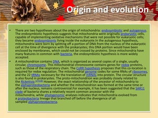Origin and evolution
• There are two hypotheses about the origin of mitochondria: endosymbiotic and autogenous.
The endosymbiotic hypothesis suggests that mitochondria were originally prokaryotic cells,
capable of implementing oxidative mechanisms that were not possible for eukaryotic cells;
they became endosymbionts living inside the eukaryote.In the autogenous hypothesis,
mitochondria were born by splitting off a portion of DNA from the nucleus of the eukaryotic
cell at the time of divergence with the prokaryotes; this DNA portion would have been
enclosed by membranes, which could not be crossed by proteins. Since mitochondria have
many features in common with bacteria, the endosymbiotic hypothesis is more widely
accepted.
• A mitochondrion contains DNA, which is organized as several copies of a single, usually
circular, chromosome. This mitochondrial chromosome contains genes for redox proteins,
such as those of the respiratory chain. The CoRR hypothesis proposes that this co-location is
required for redox regulation. The mitochondrial genome codes for some RNAs of ribosomes,
and the 22 tRNAs necessary for the translation of mRNAs into protein. The circular structure
is also found in prokaryotes. The proto-mitochondrion was probably closely related to
the Rickettsia.[27][28] However, the exact relationship of the ancestor of mitochondria to
the alphaproteobacteria and whether the mitochondrion was formed at the same time or
after the nucleus, remains controversial.For example, it has been suggested that the SAR11
clade of bacteria shares a relatively recent common ancestor with the
mitochondria, while phylogenomic analyses indicates that mitochondria evolved from
a proteobacteria lineage that branched off before the divergence of all
sampled alphaproteobacteria.
 