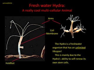 Cell biology notes | PPTX
