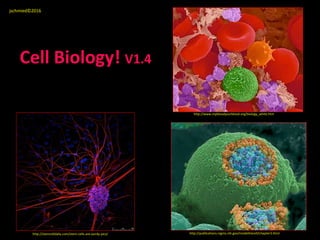 Cell Biology! V1.4
http://www.mybloodyourblood.org/biology_white.htm
http://publications.nigms.nih.gov/insidethecell/chapter3.htmlhttp://stemcelldaily.com/stem-cells-are-purdy-pics/
jschmied©2016
 