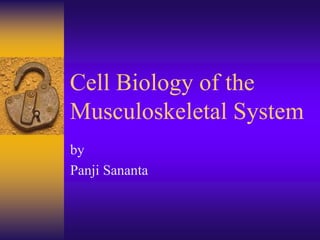 Cell Biology of the
Musculoskeletal System
by
Panji Sananta
 