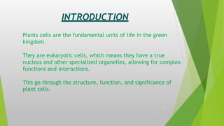 ASSIGNMENT - Cell biology | PPTX