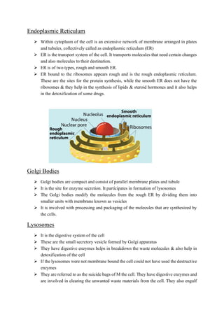 cell biology pdf notes. cell details structure & its fuction | PDF