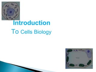 Introduction
To Cells Biology
 