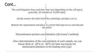 Cont…
The centrifugation force and time may vary depending on the cell type;(
generally, 20 minutes at 12,000 rpm).
Gently remove the tubes from the centrifuge and place on ice.
Remove the supernatant and place in a fresh tube kept on ice and discard
the pellet.
Determination protein concentration ( By Lowry’s method)
Once determination of the concentration of each sample, we can
freeze them at -20°C or -80°C for later use/repare for
immunoprecipitation or for loading onto a gel.
 