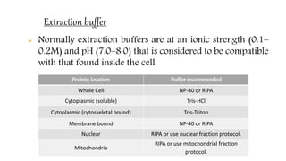 Extraction buffer
 Normally extraction buffers are at an ionic strength (0.1–
0.2M) and pH (7.0–8.0) that is considered to be compatible
with that found inside the cell.
Protein location Buffer recommended
Whole Cell NP-40 or RIPA
Cytoplasmic (soluble) Tris-HCl
Cytoplasmic (cytoskeletal bound) Tris-Triton
Membrane bound NP-40 or RIPA
Nuclear RIPA or use nuclear fraction protocol.
Mitochondria
RIPA or use mitochondrial fraction
protocol.
 