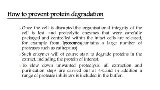 How to prevent protein degradation
Once the cell is disrupted,the organisational integrity of the
cell is lost, and proteolytic enzymes that were carefully
packaged and controlled within the intact cells are released,
for example from lysosomes(contains a large number of
proteases such as cathepsins).
Such enzymes will of course start to degrade proteins in the
extract, including the protein of interest.
To slow down unwanted proteolysis, all extraction and
puriﬁcation steps are carried out at 4oc,and in addition a
range of protease inhibitors is included in the buffer.
 