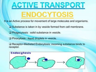 It is an Active process for movement of large molecules and organisms.
 Substance is taken in by vesicle formed from cell membrane.
 Phagocytosis : solid substance in vesicle.
 Pinocytosis : liquid droplets in vesicle.
 Receptor-Mediated Endocytosis: incoming substance binds to
receptor.
 