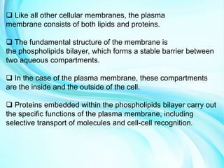  Like all other cellular membranes, the plasma
membrane consists of both lipids and proteins.
 The fundamental structure of the membrane is
the phospholipids bilayer, which forms a stable barrier between
two aqueous compartments.
 In the case of the plasma membrane, these compartments
are the inside and the outside of the cell.
 Proteins embedded within the phospholipids bilayer carry out
the specific functions of the plasma membrane, including
selective transport of molecules and cell-cell recognition.
 